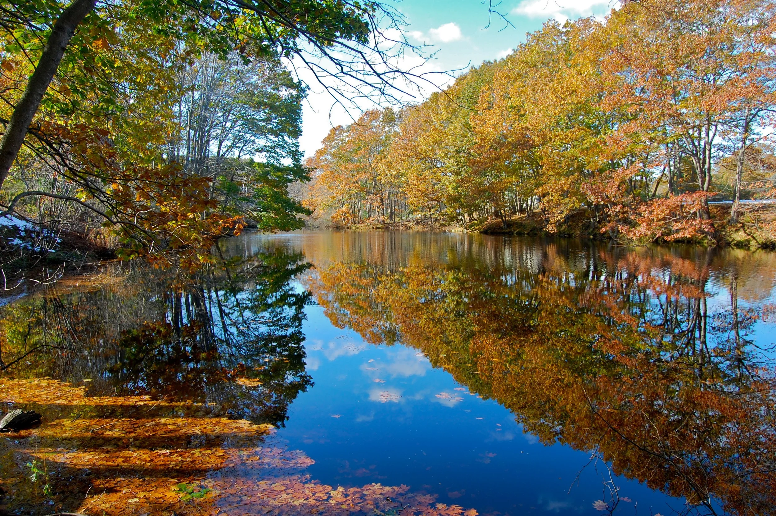 Tyler Brook — Kennebunkport Conservation Trust
